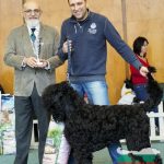 Black Balkan Lion Igor Knyaz Rusi